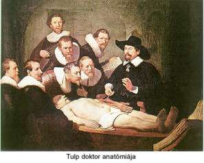 Tulp doktor anatmija