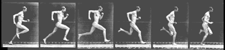 run.gif (8203 bytes)